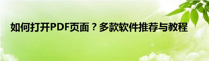 如何打开PDF页面？多款软件推荐与教程