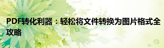 PDF转化利器：轻松将文件转换为图片格式全攻略