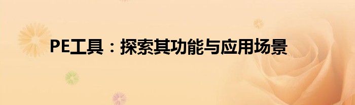 PE工具：探索其功能与应用场景