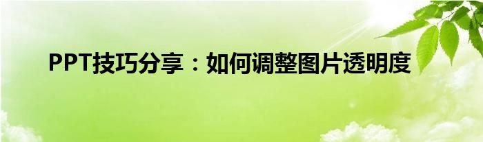 PPT技巧分享：如何调整图片透明度