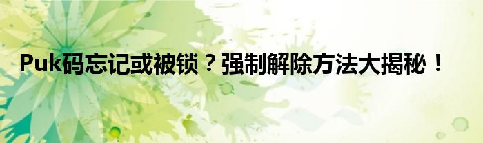 Puk码忘记或被锁？强制解除方法大揭秘！