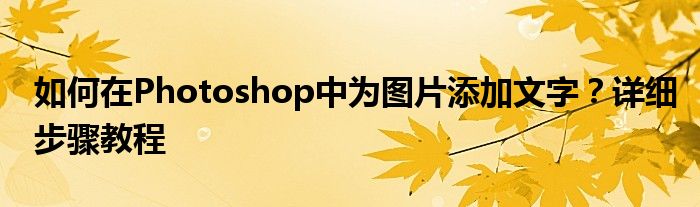 如何在Photoshop中为图片添加文字？详细步骤教程