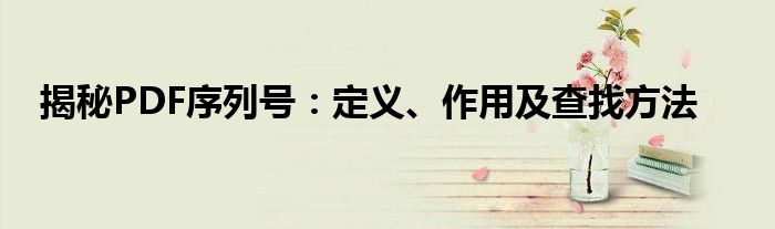 揭秘PDF序列号：定义、作用及查找方法
