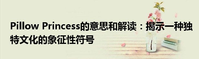 Pillow Princess的意思和解读：揭示一种独特文化的象征性符号