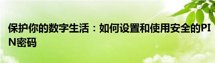 保护你的数字生活：如何设置和使用安全的PIN密码