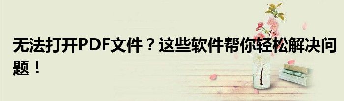 无法打开PDF文件？这些软件帮你轻松解决问题！