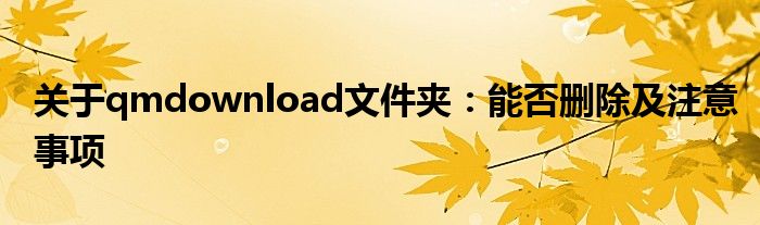 关于qmdownload文件夹：能否删除及注意事项