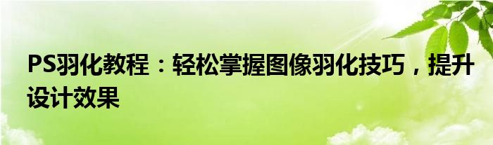 PS羽化教程：轻松掌握图像羽化技巧，提升设计效果