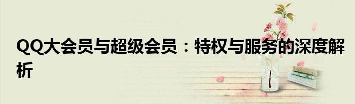 QQ大会员与超级会员：特权与服务的深度解析