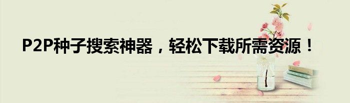 P2P种子搜索神器，轻松下载所需资源！