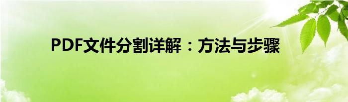 PDF文件分割详解：方法与步骤
