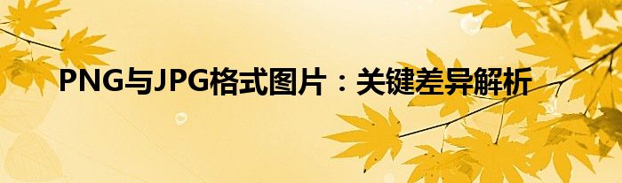 PNG与JPG格式图片：关键差异解析