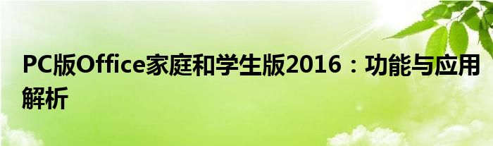 PC版Office家庭和学生版2016：功能与应用解析