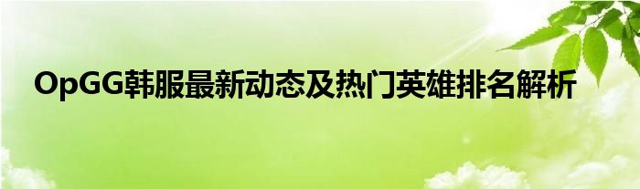 OpGG韩服最新动态及热门英雄排名解析