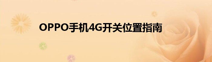 OPPO手机4G开关位置指南