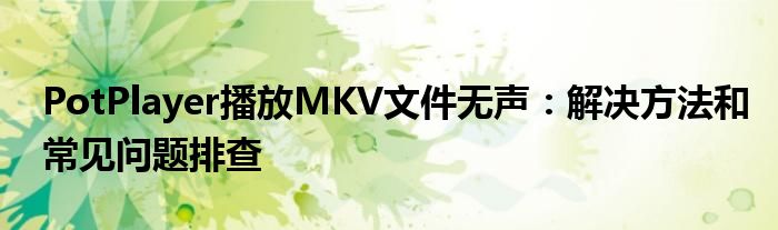 PotPlayer播放MKV文件无声：解决方法和常见问题排查