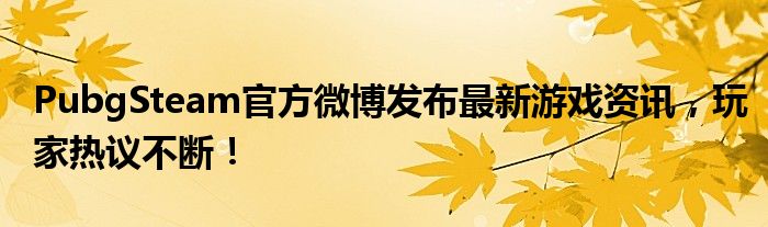 PubgSteam官方微博发布最新游戏资讯，玩家热议不断！