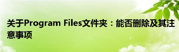 关于Program Files文件夹：能否删除及其注意事项