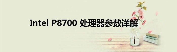 Intel P8700 处理器参数详解