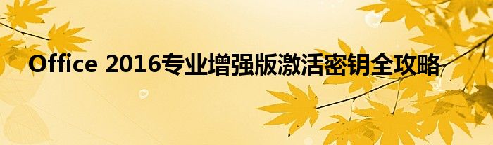 Office 2016专业增强版激活密钥全攻略