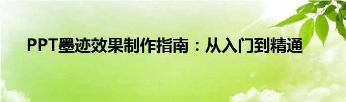 PPT墨迹效果制作指南：从入门到精通
