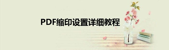 PDF缩印设置详细教程