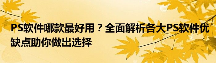 PS软件哪款最好用？全面解析各大PS软件优缺点助你做出选择