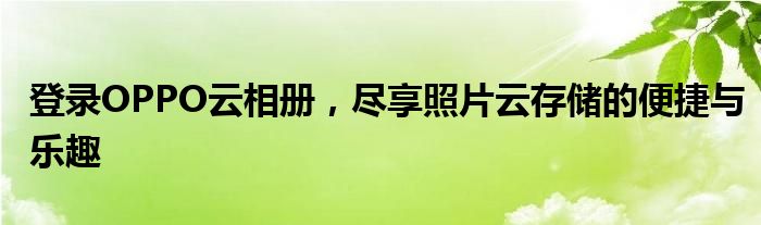 登录OPPO云相册，尽享照片云存储的便捷与乐趣