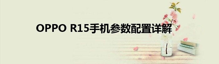 OPPO R15手机参数配置详解