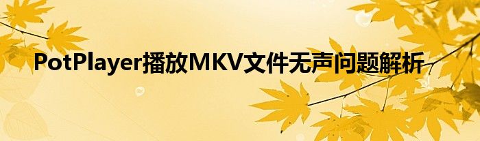 PotPlayer播放MKV文件无声问题解析