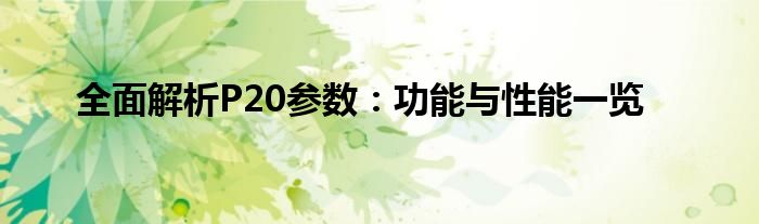 全面解析P20参数：功能与性能一览