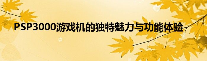 PSP3000游戏机的独特魅力与功能体验