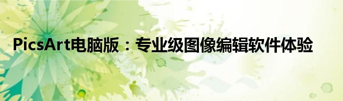 PicsArt电脑版：专业级图像编辑软件体验
