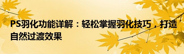PS羽化功能详解：轻松掌握羽化技巧，打造自然过渡效果