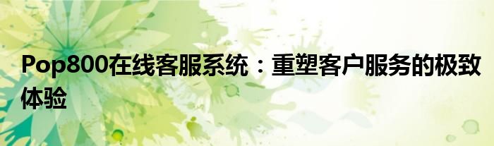 Pop800在线客服系统：重塑客户服务的极致体验