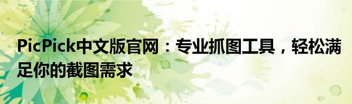 PicPick中文版官网：专业抓图工具，轻松满足你的截图需求