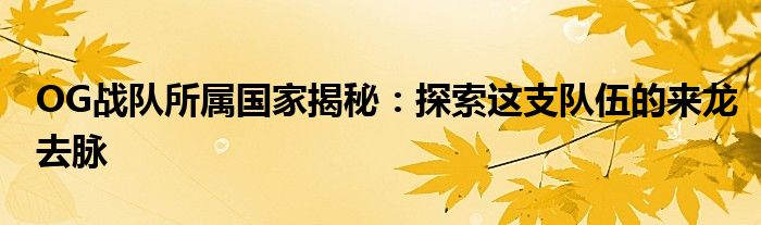 OG战队所属国家揭秘：探索这支队伍的来龙去脉