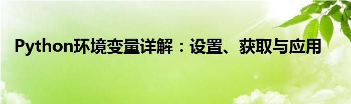 Python环境变量详解：设置、获取与应用