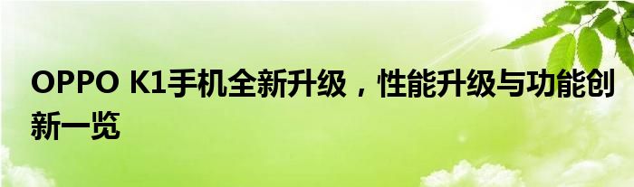OPPO K1手机全新升级，性能升级与功能创新一览