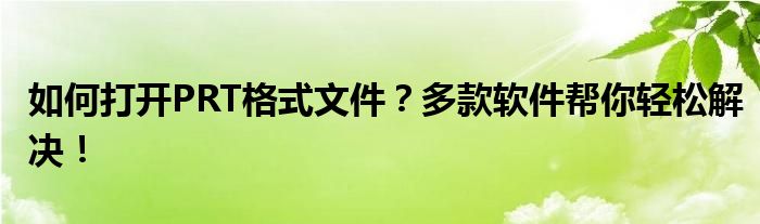 如何打开PRT格式文件？多款软件帮你轻松解决！