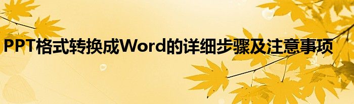 PPT格式转换成Word的详细步骤及注意事项