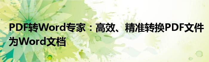 PDF转Word专家：高效、精准转换PDF文件为Word文档