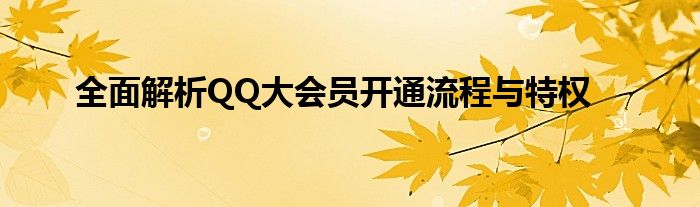 全面解析QQ大会员开通流程与特权