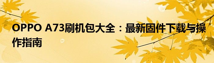 OPPO A73刷机包大全：最新固件下载与操作指南