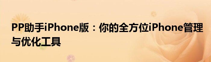 PP助手iPhone版：你的全方位iPhone管理与优化工具