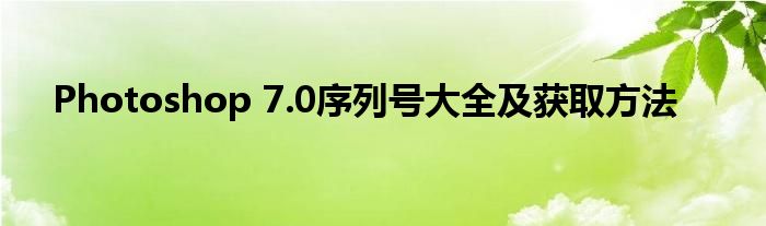 Photoshop 7.0序列号大全及获取方法