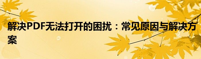 解决PDF无法打开的困扰：常见原因与解决方案