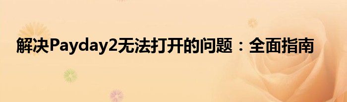 解决Payday2无法打开的问题：全面指南