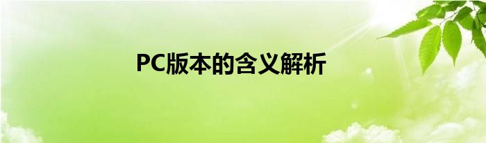 PC版本的含义解析