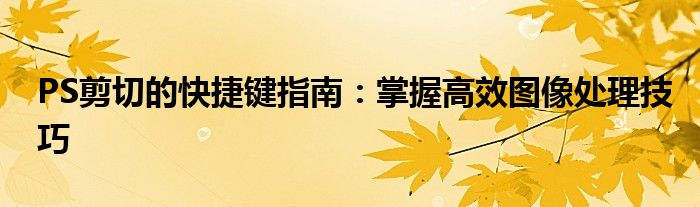 PS剪切的快捷键指南：掌握高效图像处理技巧